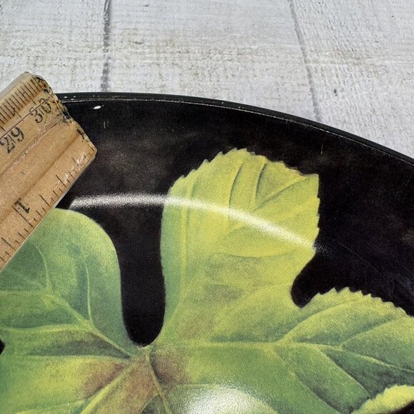 Furio Home EDEN Brown With Fruit Center Coupe Smooth 11" Dinner Plates Set of 3 - Picture 14 of 16